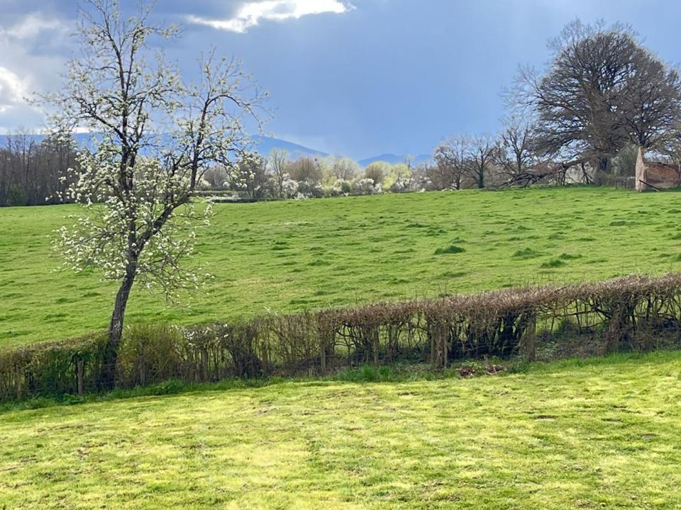Farm hus i Cordesse, Saone-et-Loire - foto 3