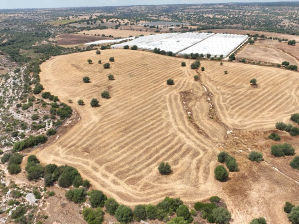 Helårsgrund i Noto, Siracusa - foto 1
