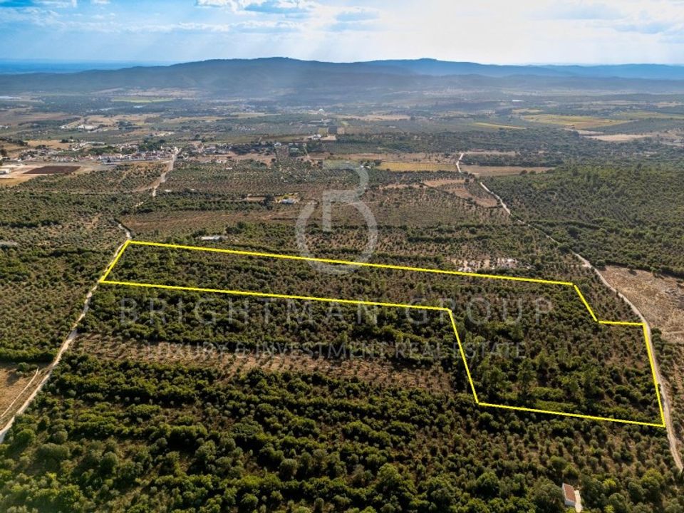 Grond in Borba, Evora - foto 3