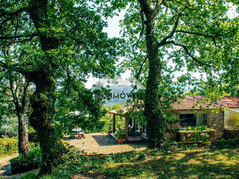 Farm hus i Viana do Castelo, Viana do Castelo - foto 4