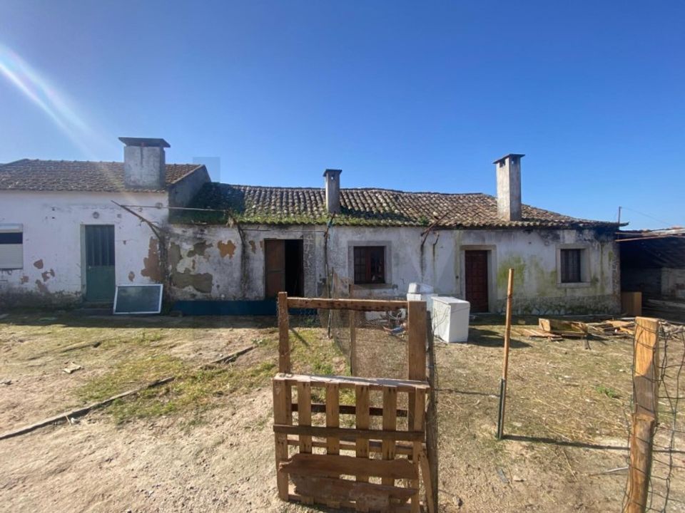 Farm i Quinta do Anjo, Setubal - foto 5