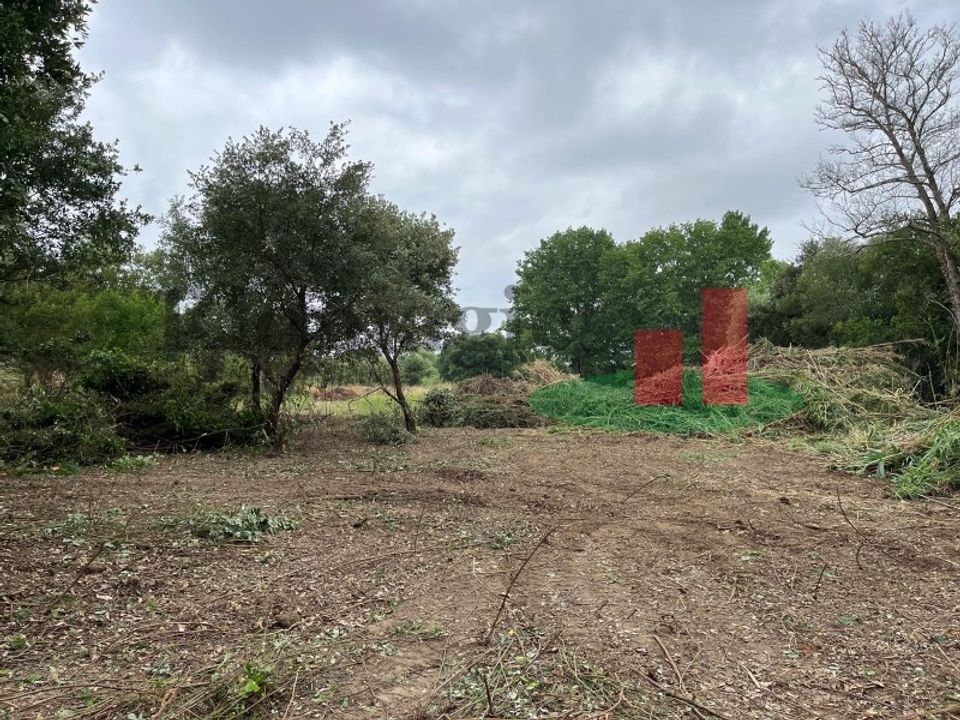 Helårsgrund i Rio Maior, Santarem - foto 1