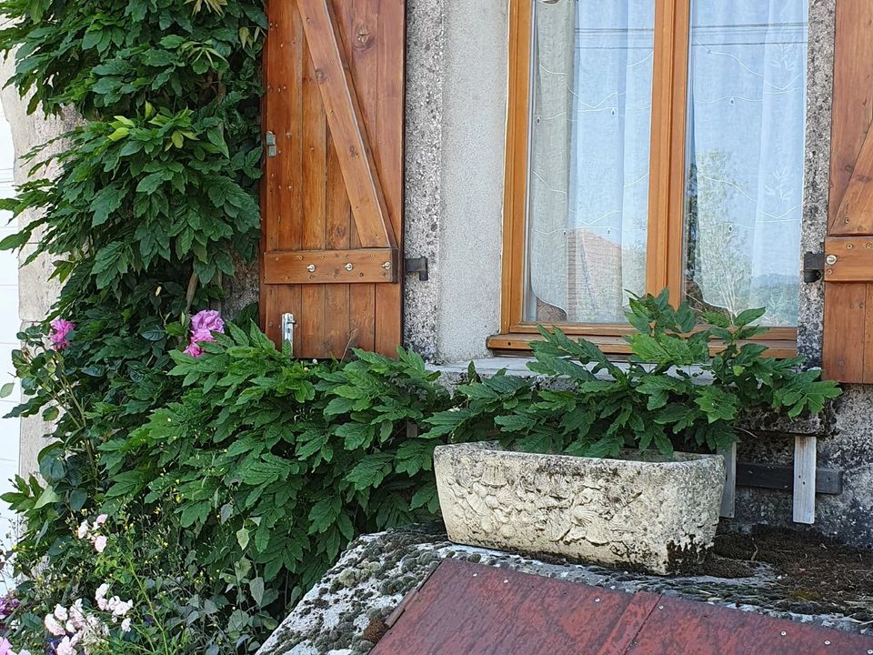 Landejendom i Grandrupt-de-Bains, Vosges - foto 3