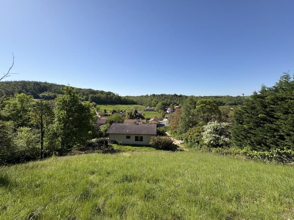 Villa i Chaponnay, Rhone - foto 3