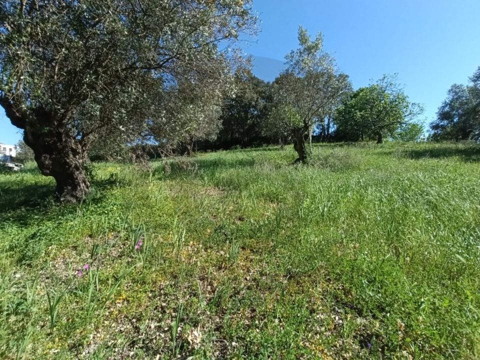 Helårsgrund i Torres Novas, Santarem - foto 2