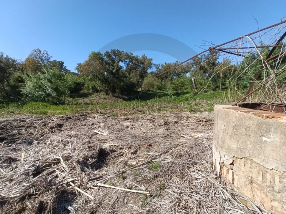 Helårsgrund i Torres Novas, Santarem - foto 4
