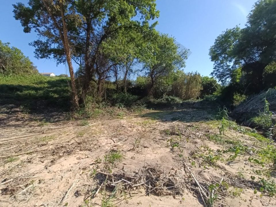 Helårsgrund i Torres Novas, Santarem - foto 5
