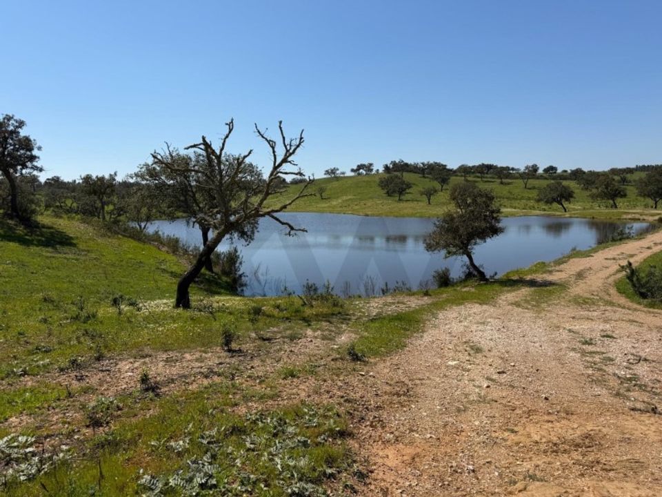 Helårsgrund i Sao Domingos e Vale de Agua, Setubal - foto 1