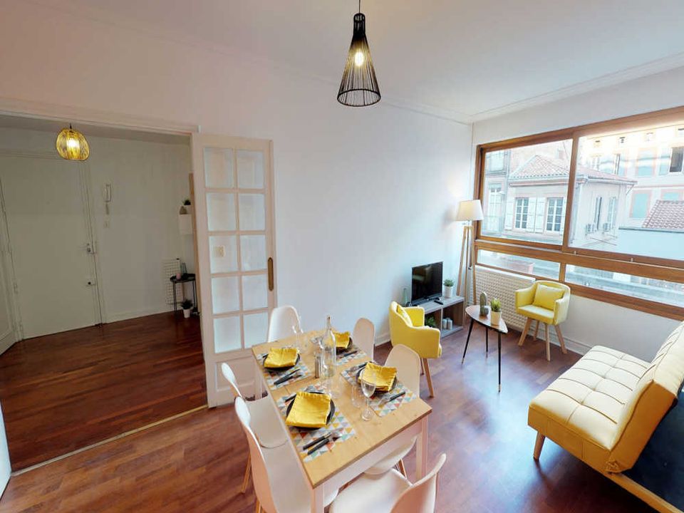 Apartment in Toulouse, Haute-Garonne - photo 5