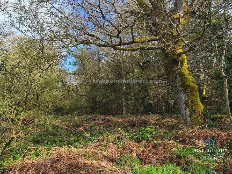 Helårsgrund i Priziac, Morbihan - foto 1