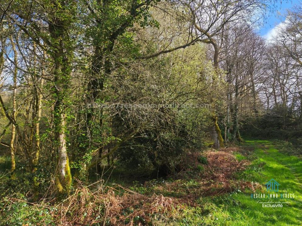 Helårsgrund i Priziac, Morbihan - foto 2