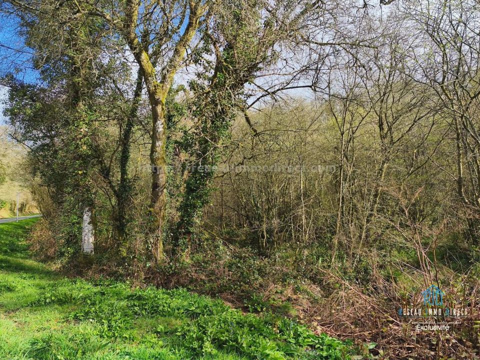 Helårsgrund i Priziac, Morbihan - foto 3