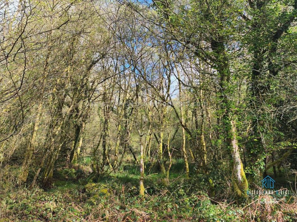 Helårsgrund i Priziac, Morbihan - foto 4