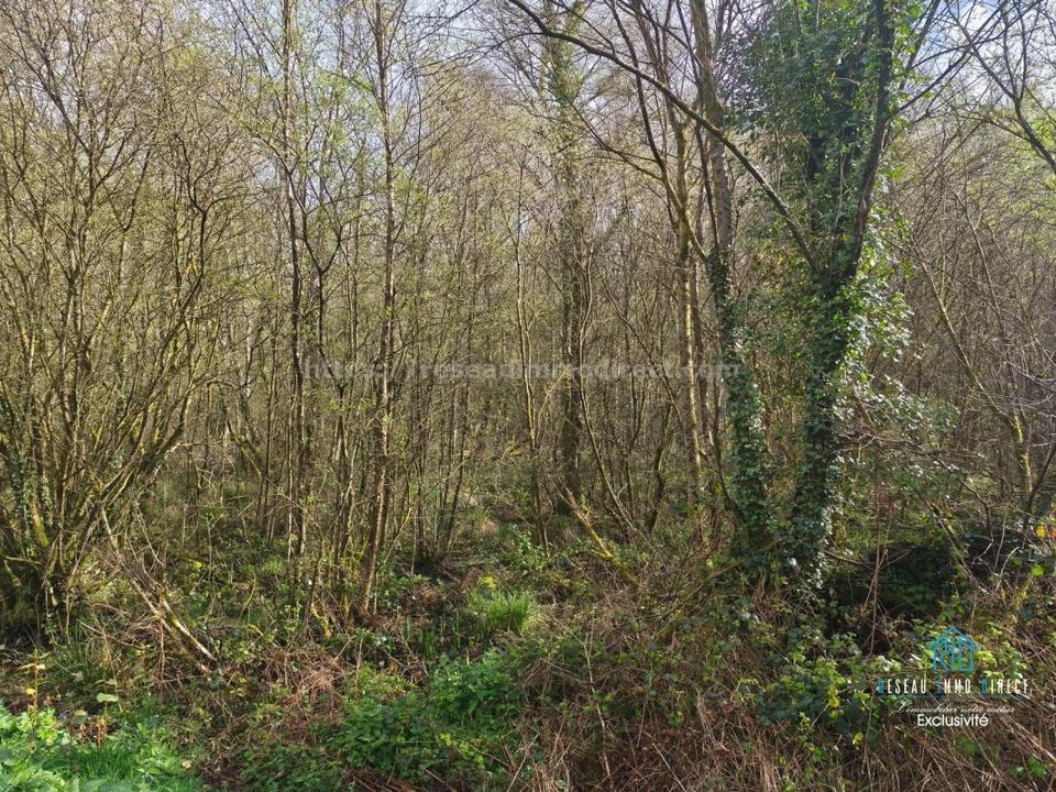 Helårsgrund i Priziac, Morbihan - foto 5