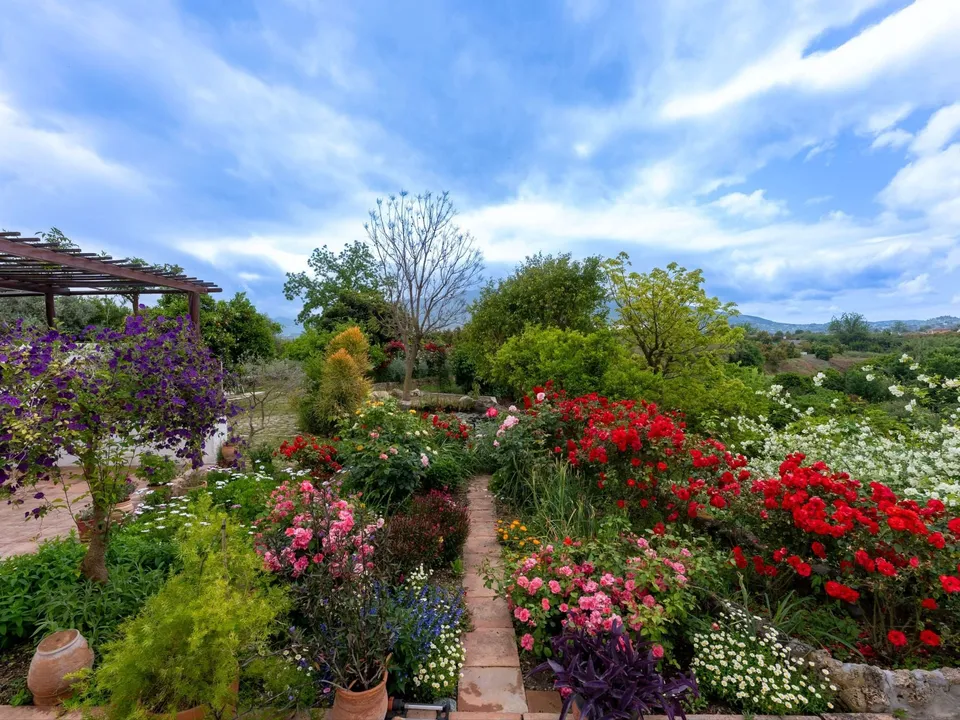 Finca i Alhaurin El Grande, Malaga - foto 2