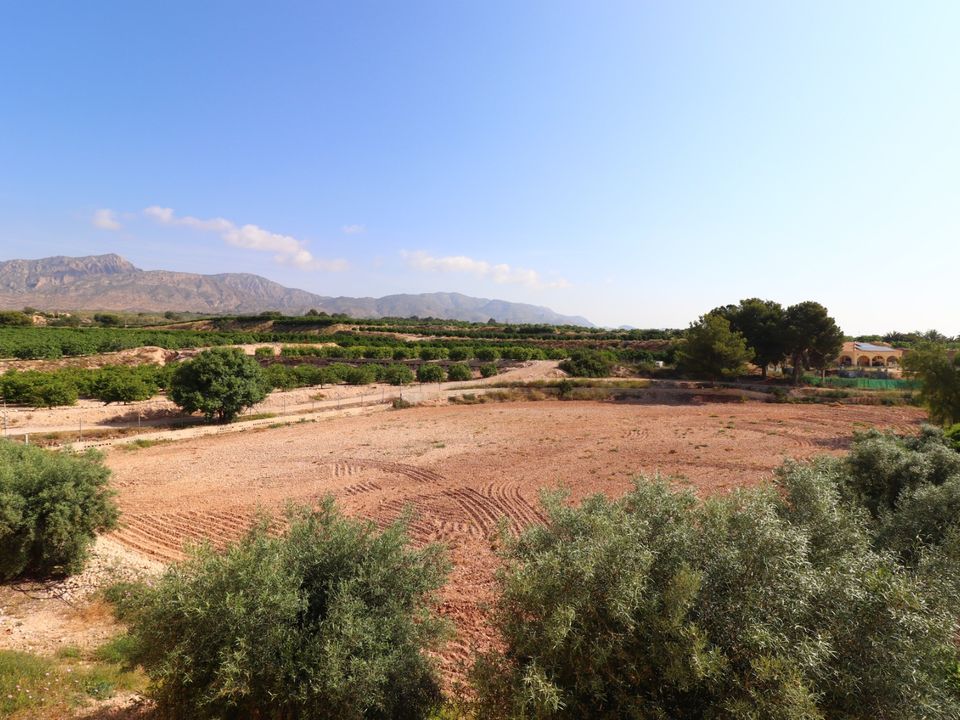 Landejendom i Albatera, Alicante - foto 5