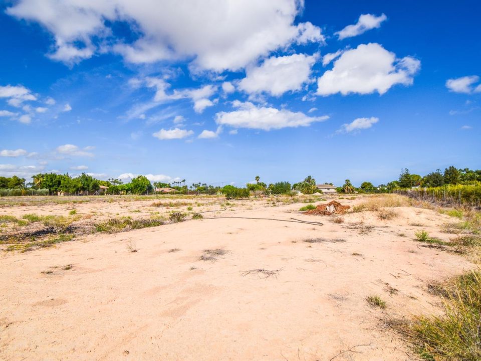 Landejendom i Elche, Alicante - foto 2