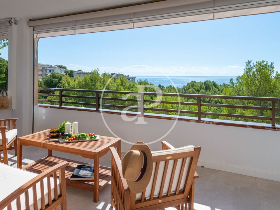 Lejlighed i Calvia, Mallorca - foto 1