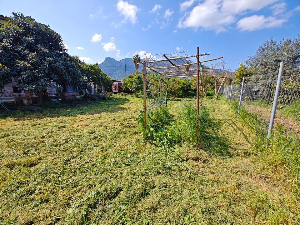 Villa i Soller, Mallorca - foto 4