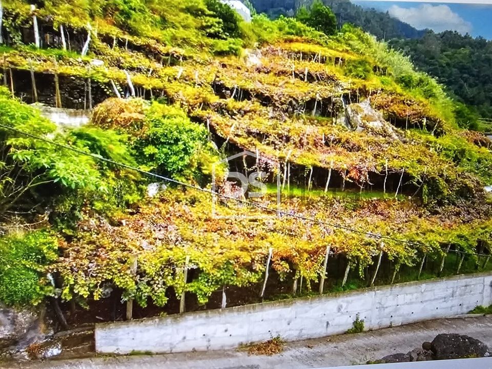 Helårsgrund i Sao Vincente, Madeira - foto 4