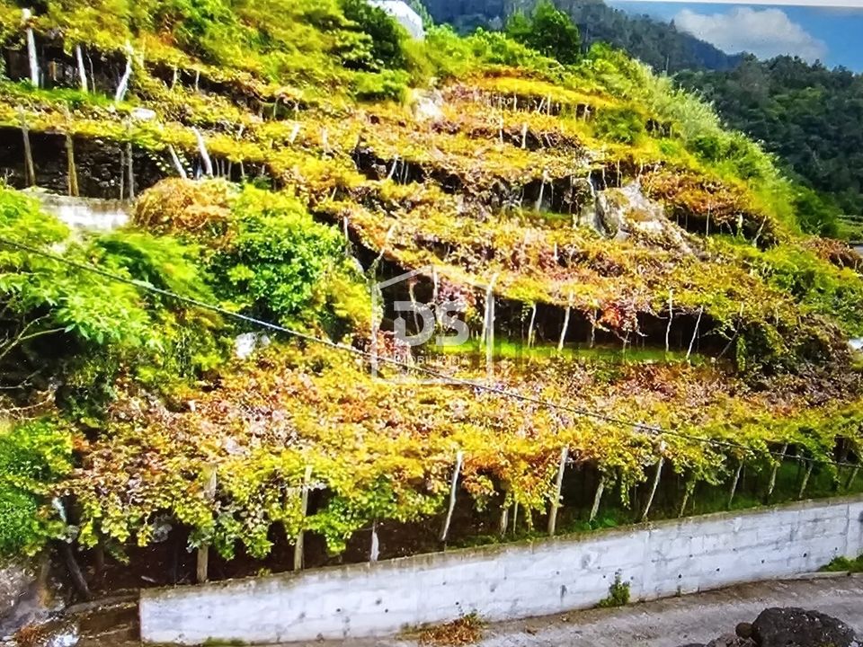 Helårsgrund i Sao Vincente, Madeira - foto 5