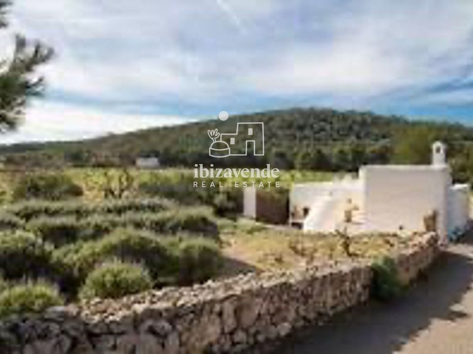 Villa i San Lorenzo De Balafia, Ibiza - foto 5