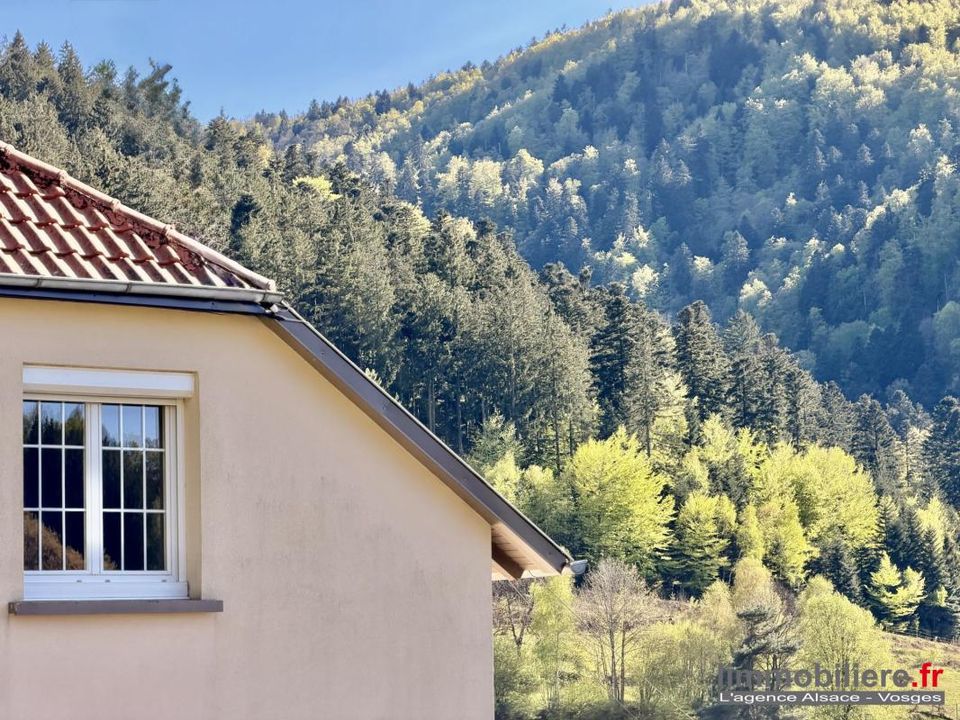 Villa i Natzwiller, Bas-Rhin - foto 5