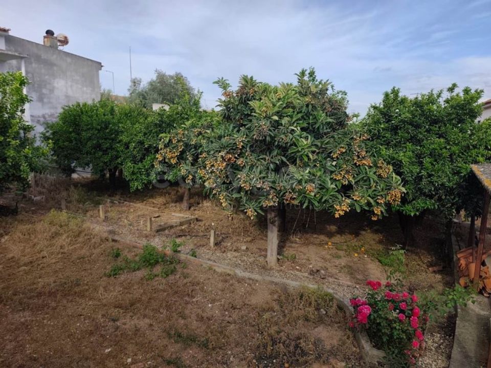 Helårsgrund i Aljustrel, Beja - foto 2