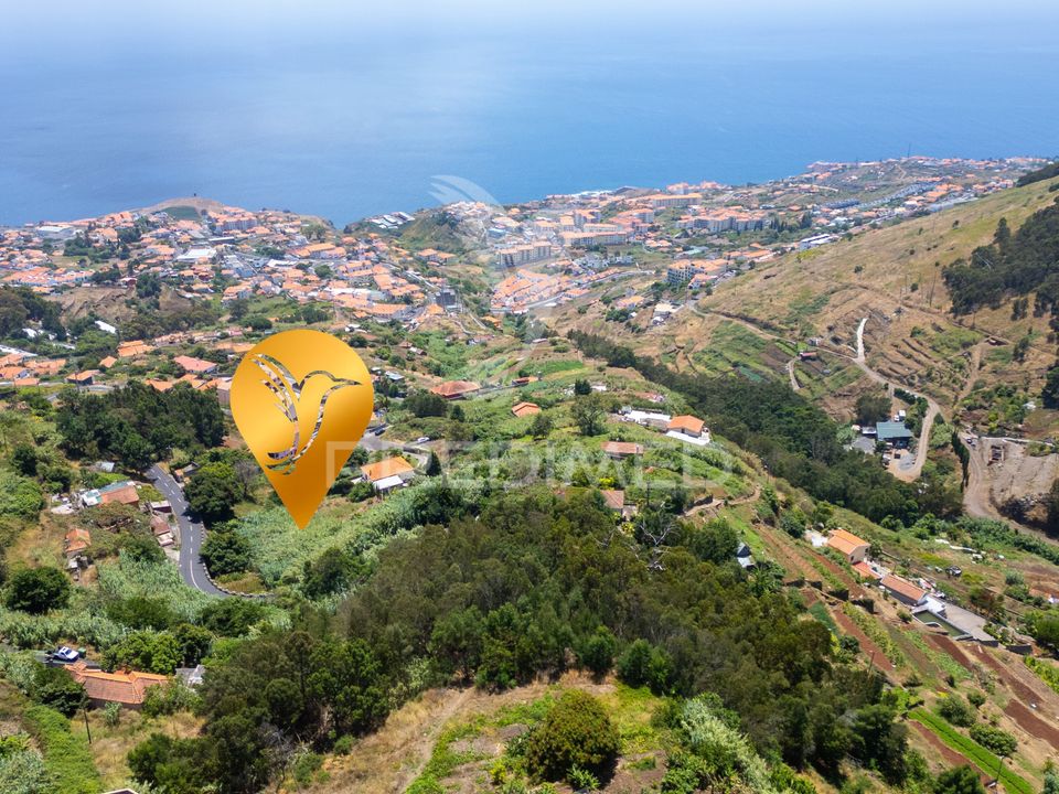Helårsgrund i Santa Cruz, Madeira - foto 2