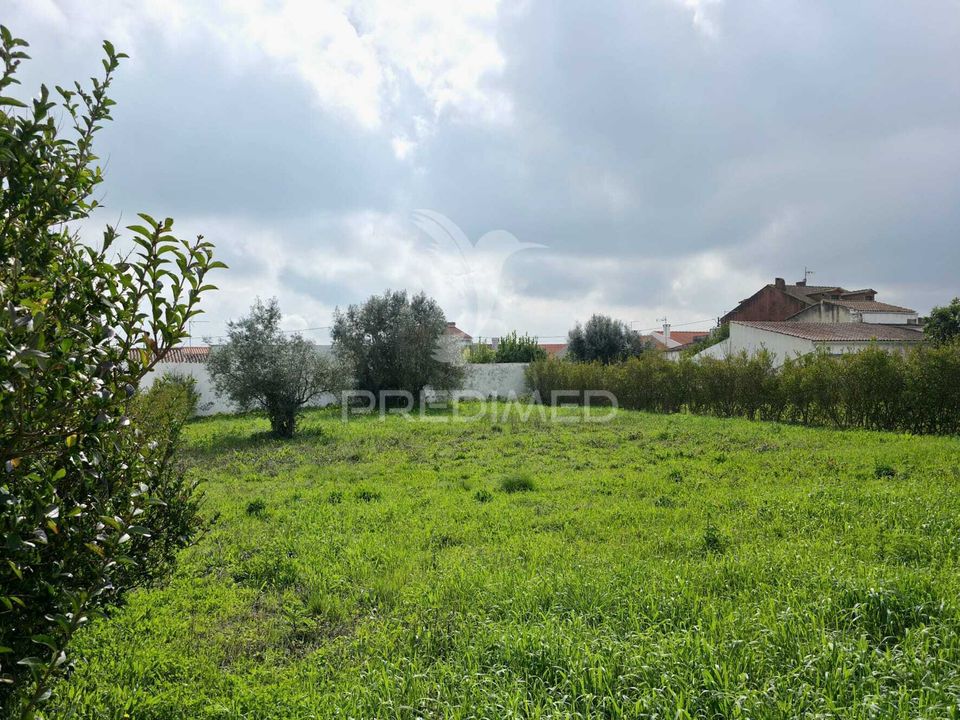 Helårsgrund i Rio Maior, Santarem - foto 2