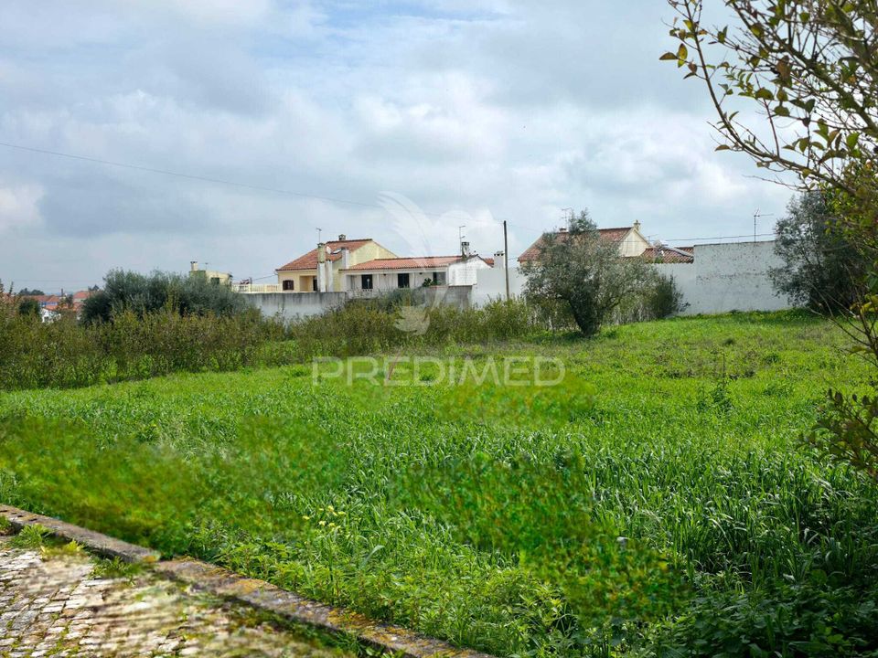 Helårsgrund i Rio Maior, Santarem - foto 4