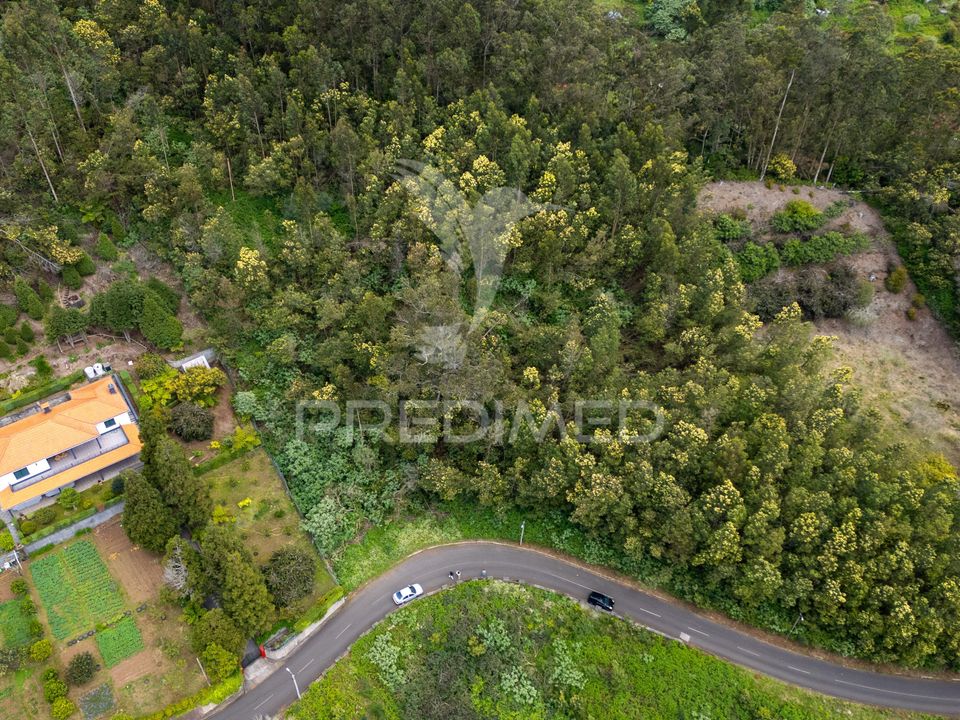 Helårsgrund i Machico, Madeira - foto 1