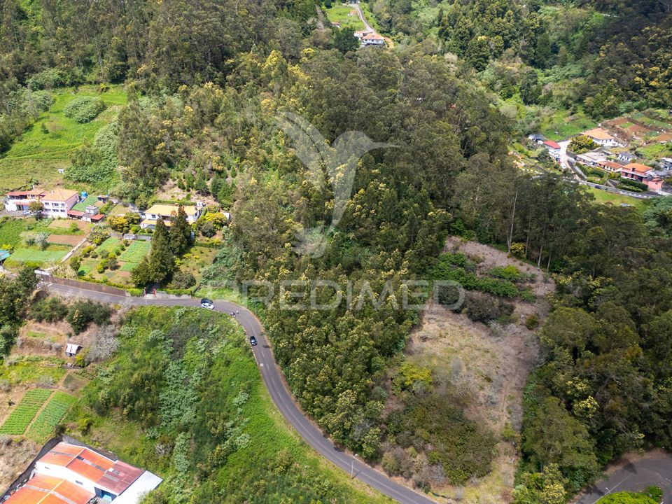 Helårsgrund i Machico, Madeira - foto 4