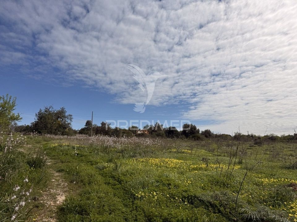 Helårsgrund i Faro, Faro - foto 2