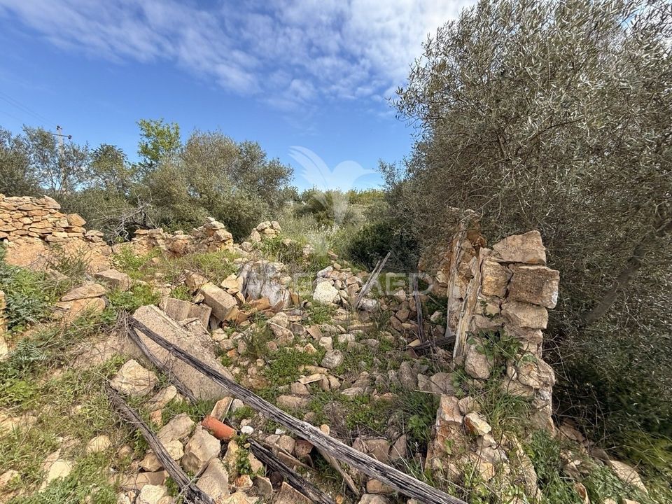 Helårsgrund i Faro, Faro - foto 3