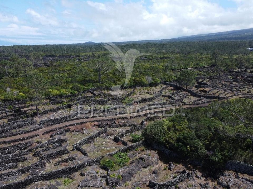Helårsgrund i Madalena, Pico - foto 2
