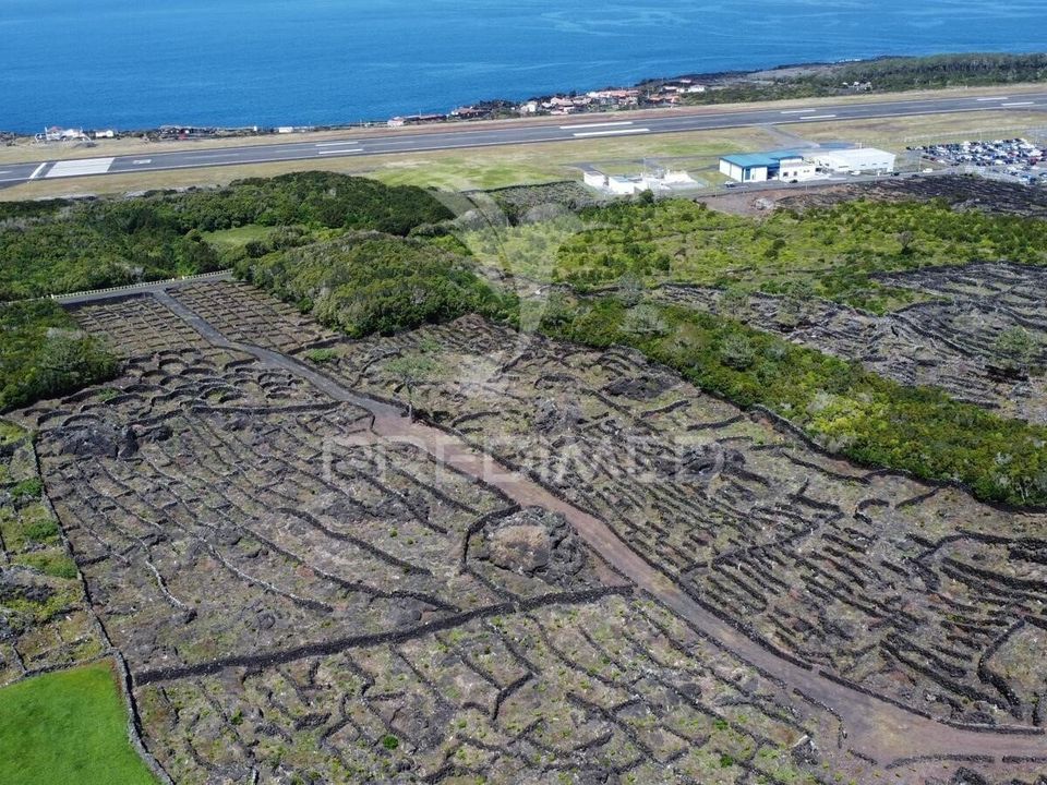 Helårsgrund i Madalena, Pico - foto 3