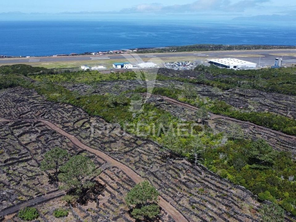 Helårsgrund i Madalena, Pico - foto 4