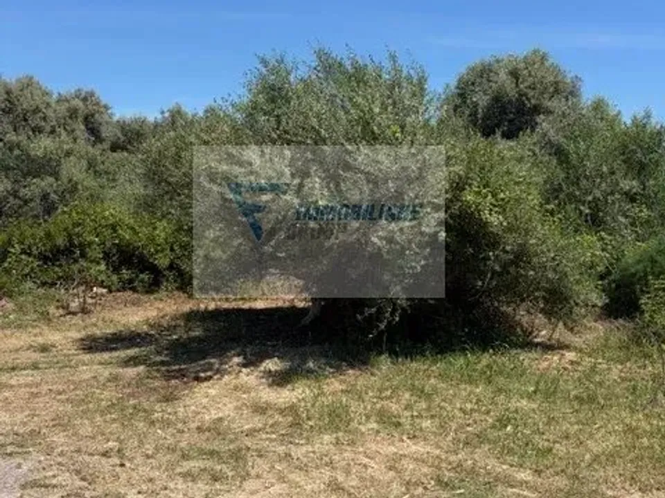 Helårsgrund i Siracusa, Siracusa - foto 3