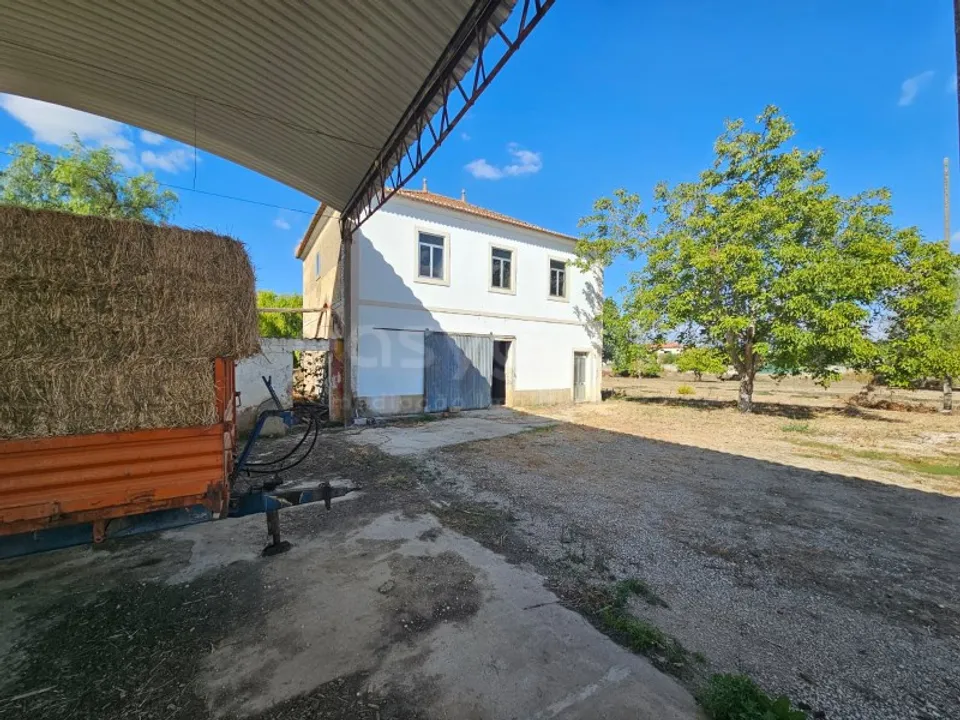 Farm i Torres Novas, Santarem - foto 3