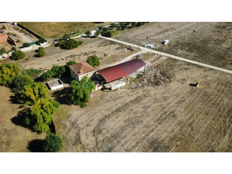 Farm i Torres Novas, Santarem - foto 4