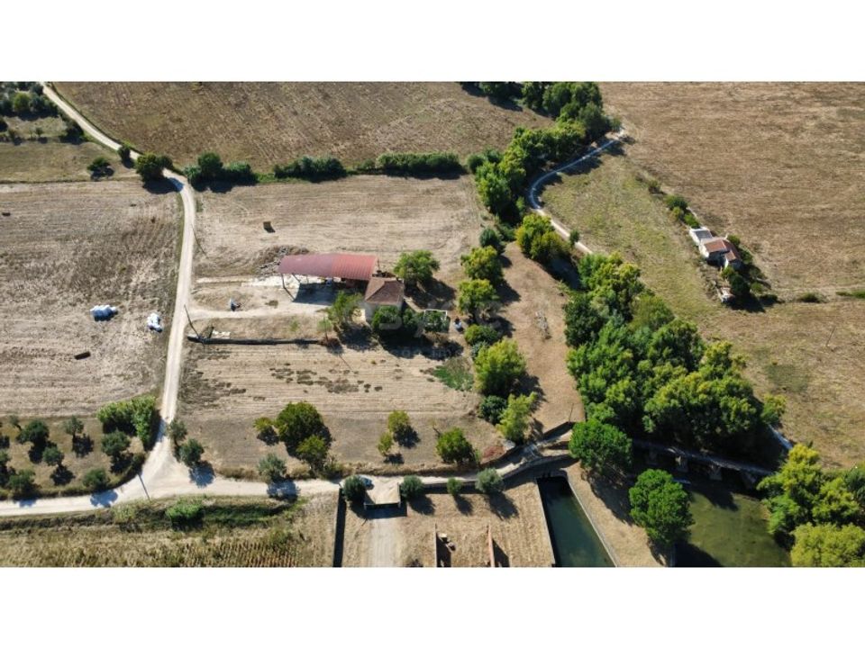 Farm i Torres Novas, Santarem - foto 5