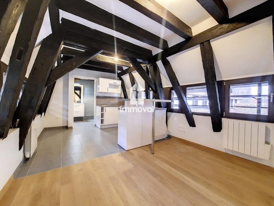 Studio in Strasbourg, Bas-Rhin - photo 2