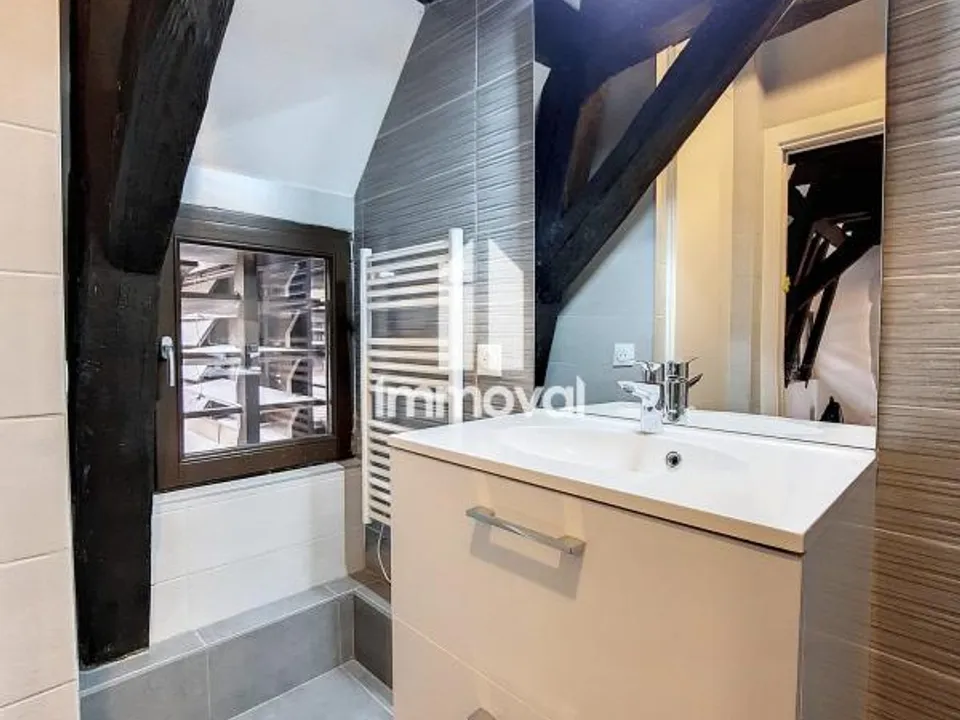 Studio in Strasbourg, Bas-Rhin - photo 4