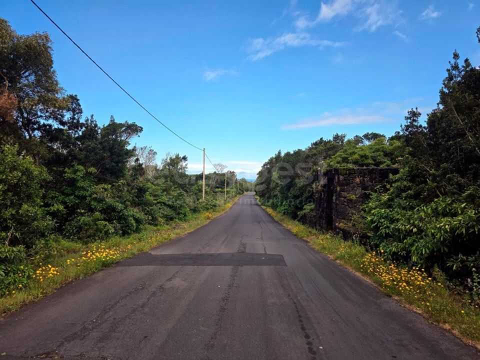 Helårsgrund i Bandeiras, Pico - foto 3