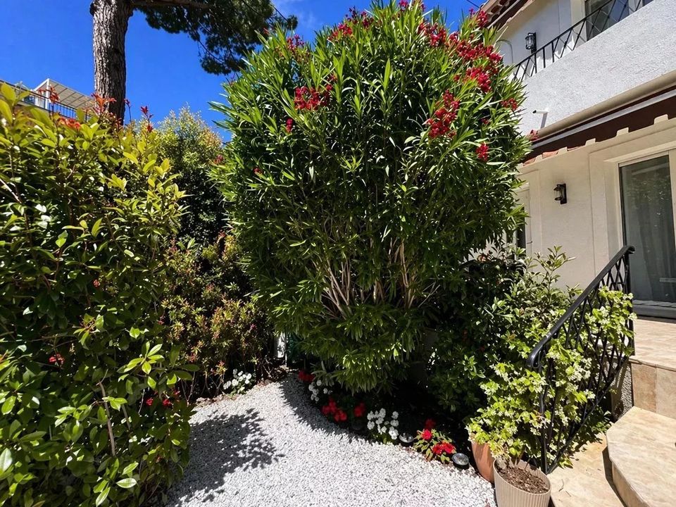 Byhus i Cannes, Alpes-Maritimes - foto 3