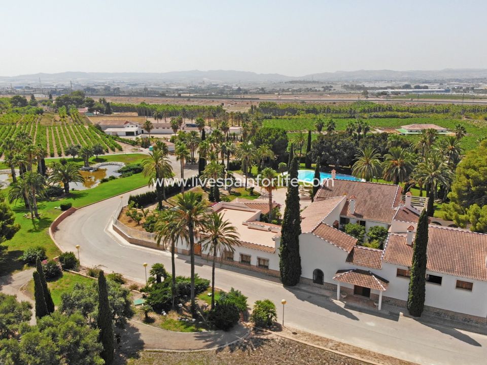 Farm i Novelda, Alicante - foto 5