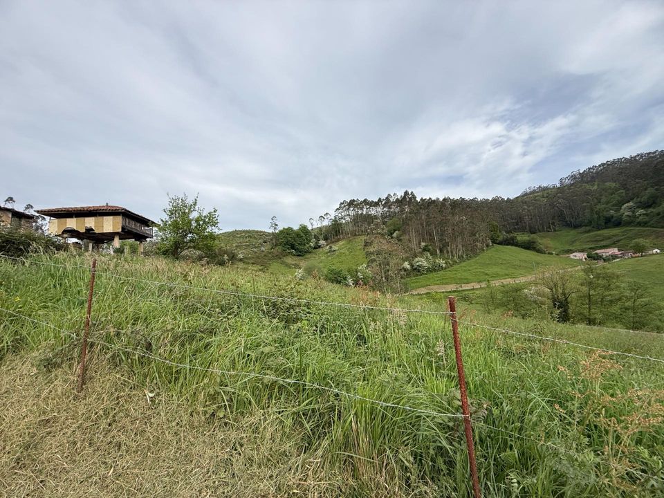 Villa i Llanera, Lerida - foto 4