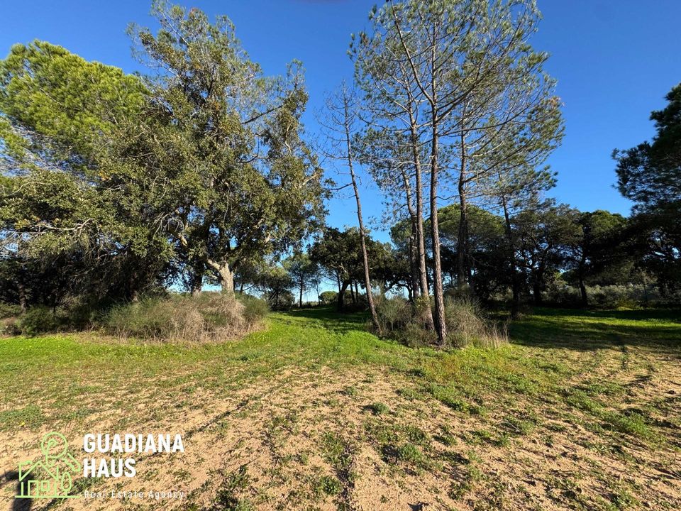 Landejendom i Villablanca, Huelva - foto 3