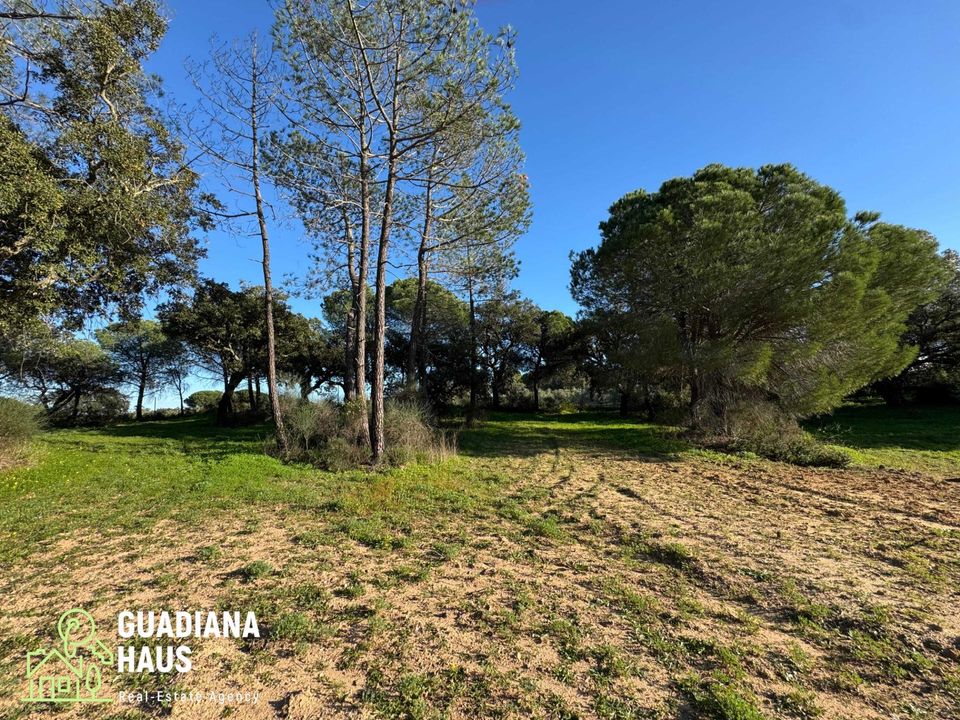 Landejendom i Villablanca, Huelva - foto 4